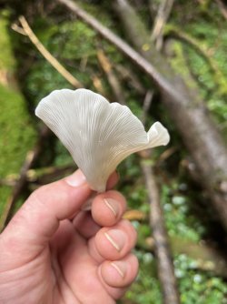 IMG_0612.jpeg