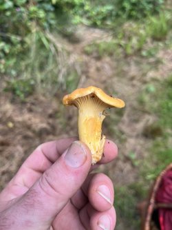 IMG_0614.jpeg