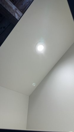 IMG_8699.jpg