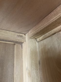 IMG_2271.jpeg