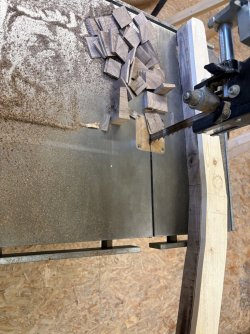 IMG_1236_klein.jpg
