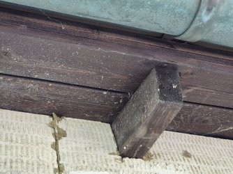20250810_142446.jpg