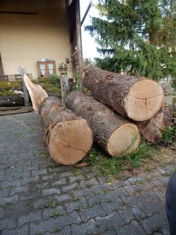 DSCN5144.JPG
