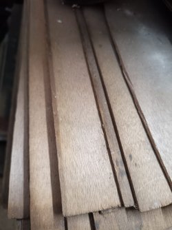 Modellbauer? Dickschicht-Schälfunier abzugeben