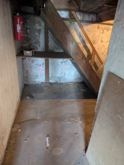 PXL_20250820_134653461.jpg