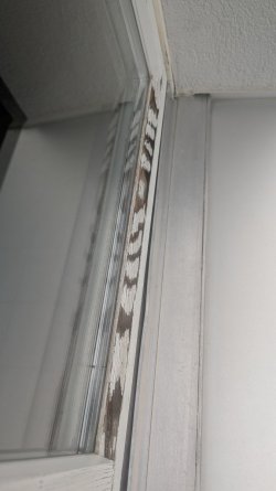 PXL_20250821_101710584.MP.jpg