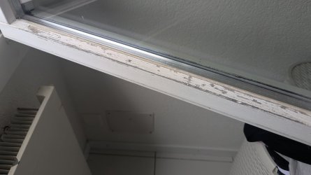 PXL_20250821_101702732.MP.jpg