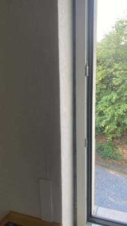 IMG_3939.jpeg