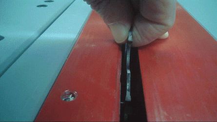 spiel.gif