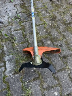 IMG_0774.jpeg