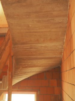 P1010157.jpg