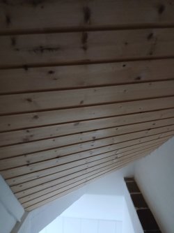 4755.jpg