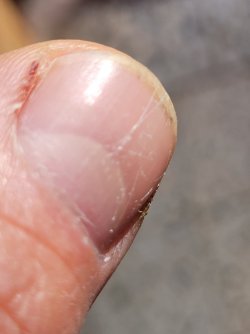 20250907_102835.jpg