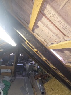 20250905_153242.jpg