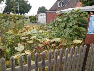 IMG_20250910_092620.jpg