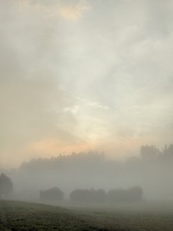 PXL_20250909_051130274.jpg