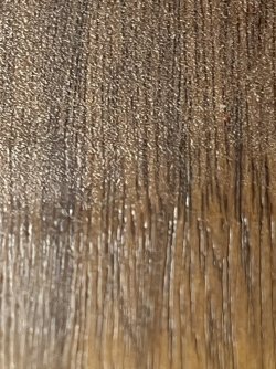 IMG_9100.jpeg