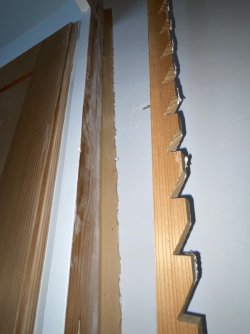 IMG_8841.JPG