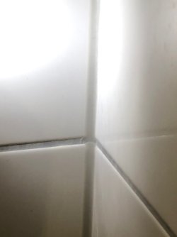 IMG_8937.jpeg