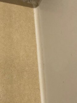 IMG_8938.jpeg