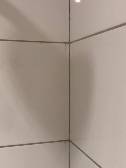 IMG_8945.jpeg