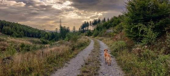 IMG_20250922_172437 (1).jpg