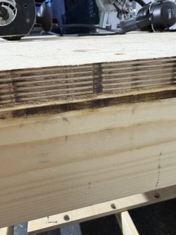 IMG_9580.jpeg
