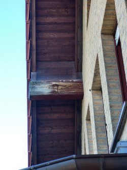 20250923_102821.jpg