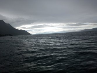 IMG_20250923_174446196.jpg