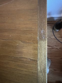 IMG_7789.jpeg