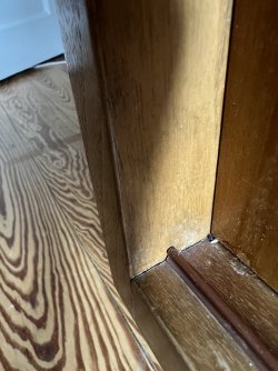 IMG_7810.jpeg
