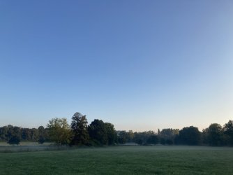 IMG_2249.jpeg