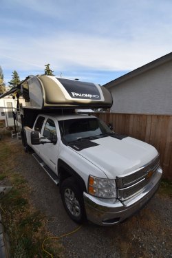 Palomino1.jpg