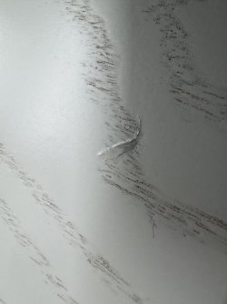 IMG_4358.jpeg