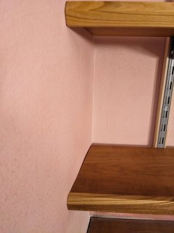 PXL_20251006_142009751.jpg