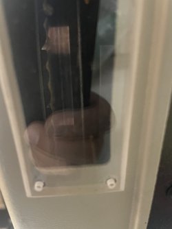 IMG_5519.jpeg