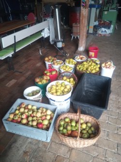 IMG_20251017_171811_1.jpg