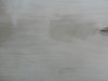 k-DSCN1178.JPG