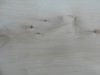 k-DSCN1180.JPG