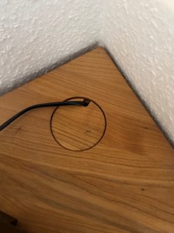 IMG_1151.jpeg IMG_1151.jpeg