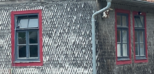 2025-10-27 21_34_59-Vorderansicht.jpeg.png 2025-10-27 21_34_59-Vorderansicht.jpeg.png