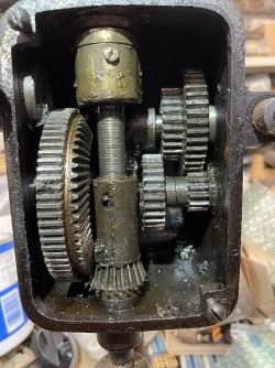 IMG_3319.jpeg IMG_3319.jpeg