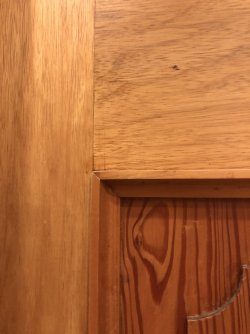 IMG_0769.jpeg IMG_0769.jpeg