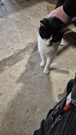 1000042284.jpg 1000042284.jpg