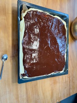 IMG_1353.jpeg IMG_1353.jpeg