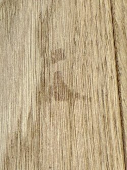 IMG_1371_klein.jpg IMG_1371_klein.jpg