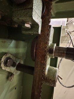 IMG_6834.jpeg IMG_6834.jpeg