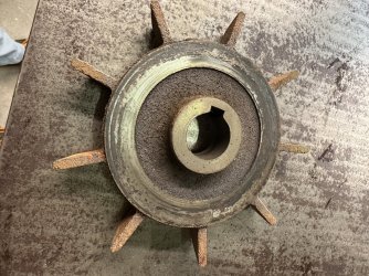 IMG_6841.jpeg IMG_6841.jpeg