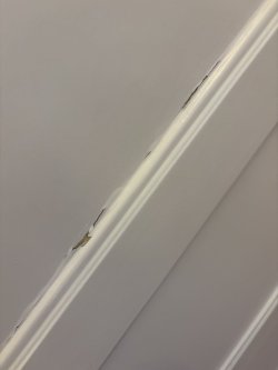 IMG_7971.jpg IMG_7971.jpg