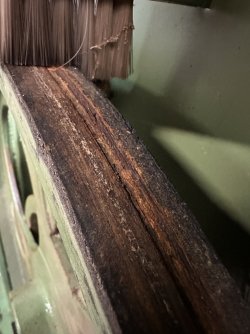 IMG_6846.jpeg IMG_6846.jpeg